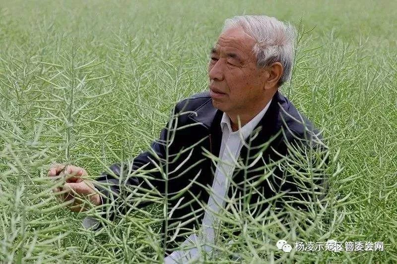 李电容.jpg 李电容.jpg