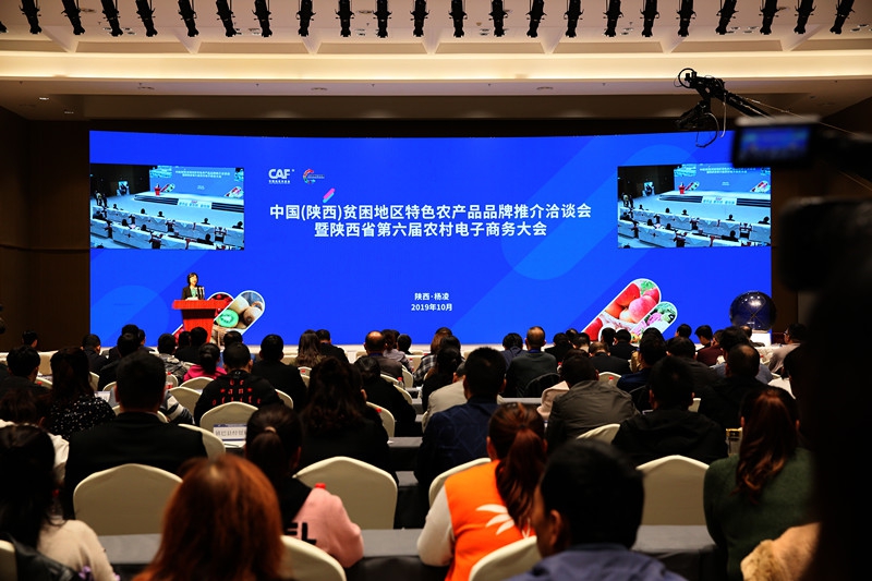 电子1_副本.jpg 电子1_副本.jpg