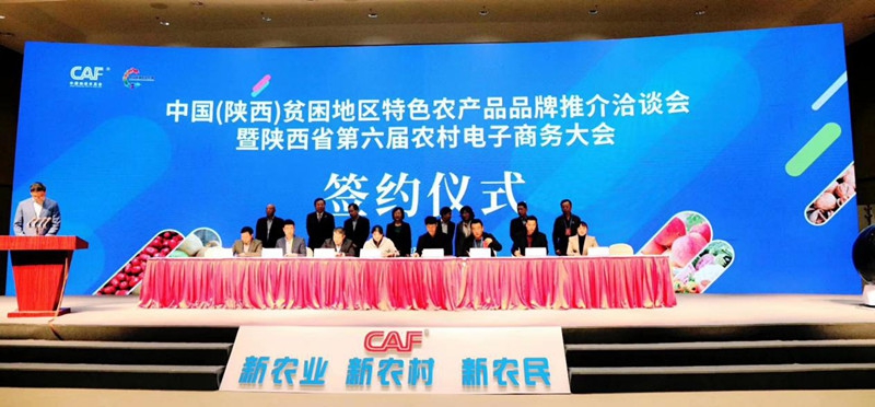 电子2_副本.jpg 电子2_副本.jpg