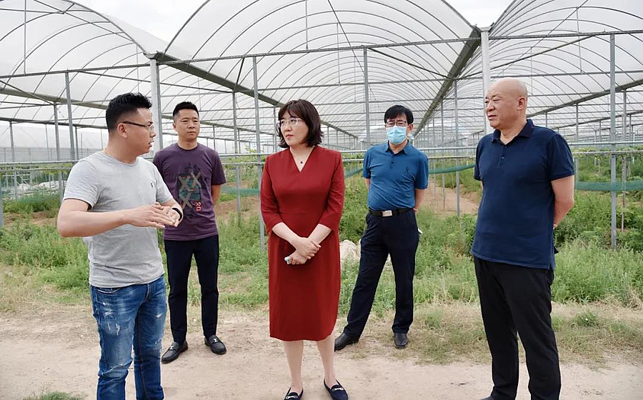 微信图片_20200527195114.jpg 微信图片_20200527195114.jpg