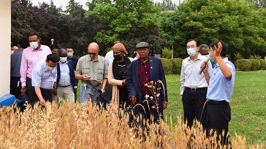 微信图片_20210603200755.jpg 微信图片_20210603200755.jpg