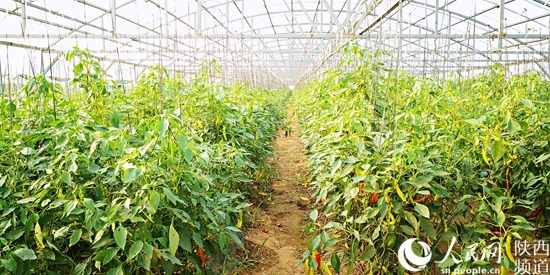 1531183791805003560.jpg 微信图片_20180710084819.jpg