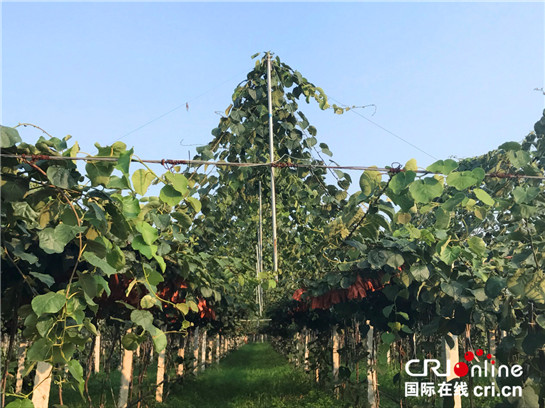 1531099830898007822.jpg CqgNOltAfYGAW1NXAAAAAAAAAAA927.545x408.jpg