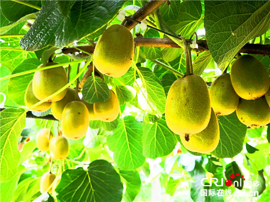 1531099810297096935.jpg CqgNOltAfYCALfISAAAAAAAAAAA708.545x408.jpg