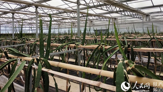 1530839903350000447.jpg 微信图片_20180706091703.jpg