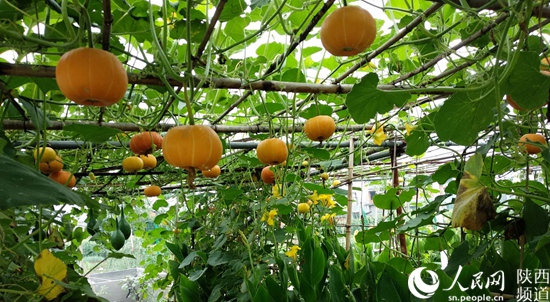 1530839925917061147.jpg 微信图片_20180706091709.jpg