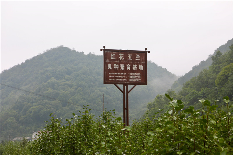 1530668604952053239.jpg 1530668604952053239.jpg