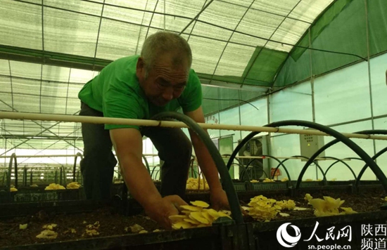 1530588620338005081.jpg 微信图片_20180703112903.jpg