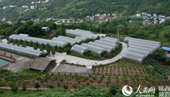 1530589157214046003.jpg 微信图片_20180703113758.jpg