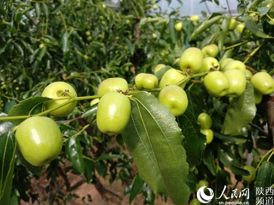 1530589172658076882.jpg 微信图片_20180703113804.jpg