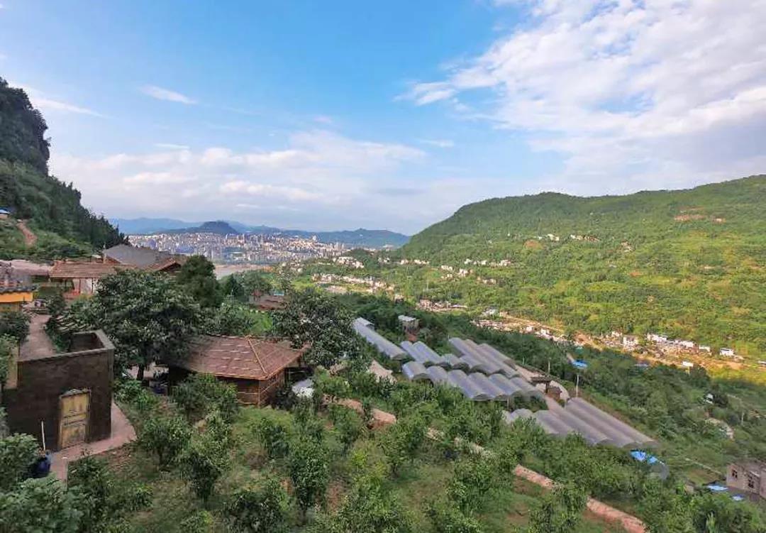 1530524913720087894.jpg 1530524913720087894.jpg