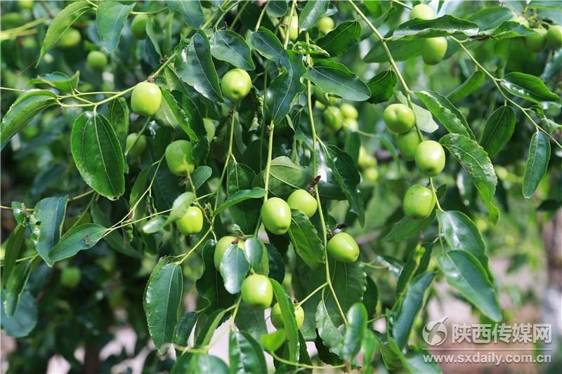 1530502704560092058.jpg 1530502704560092058.jpg