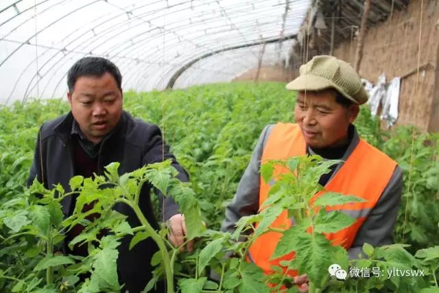 1513231448101015845.jpg 640.webp.jpg