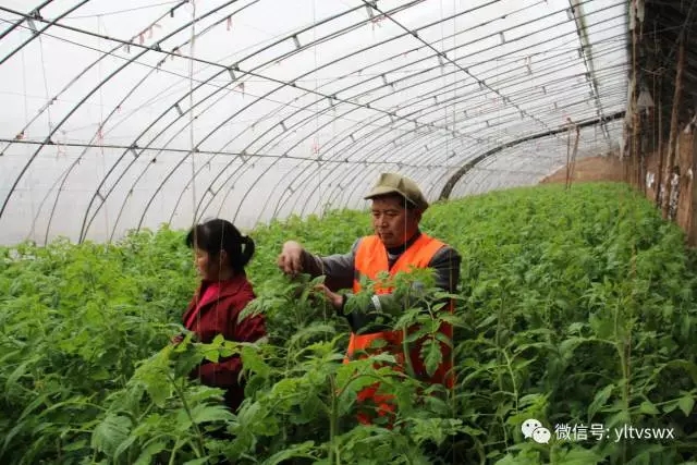 1513231327688050822.jpg 640.webp (1).jpg