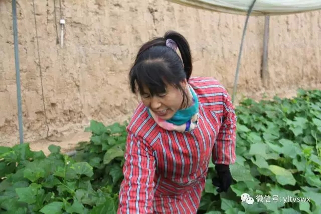 1513232051216038310.jpg 640.webp (3).jpg