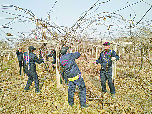 1514341026135055607.jpg 技术.jpg