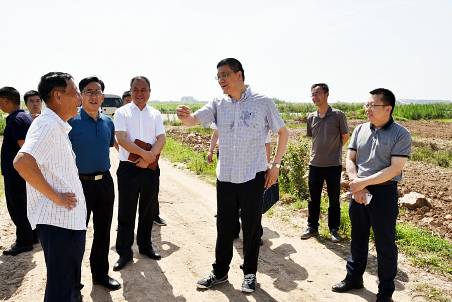 20200708hvo4sg9aqx.png 20200708hvo4sg9aqx.png