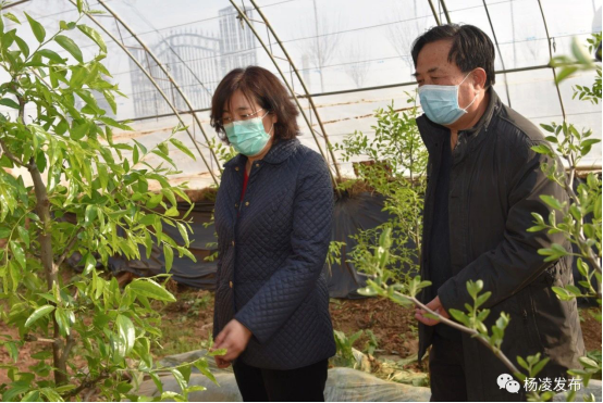 1583135748(1).jpg 1583135748(1).jpg