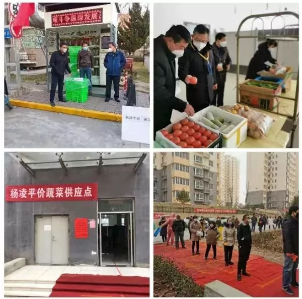 20200208113852.png 20200208113852.png