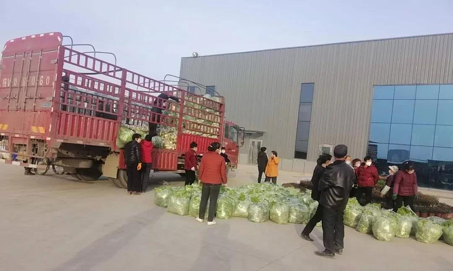 微信图片_20200210164733.jpg 微信图片_20200210164733.jpg