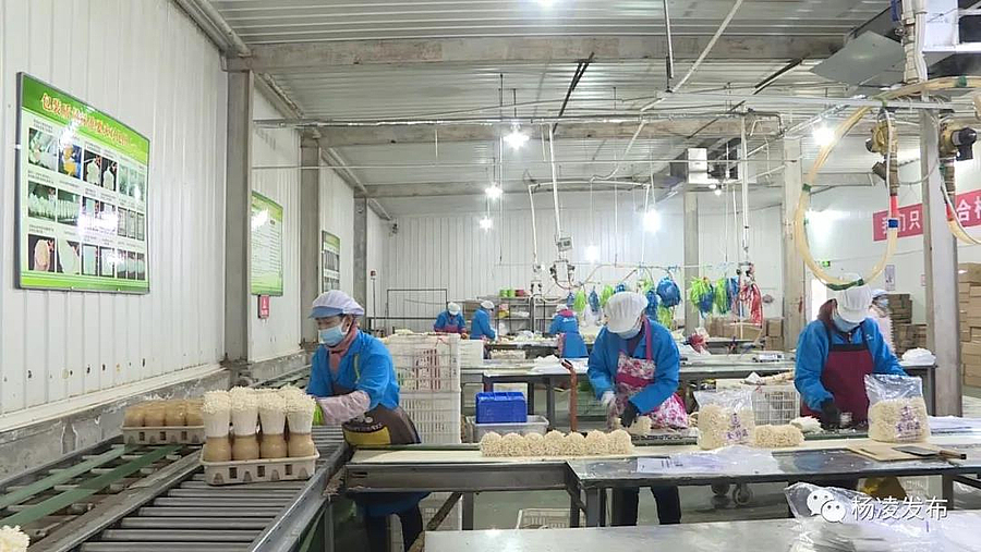 微信图片_20200211091737.jpg 微信图片_20200211091737.jpg