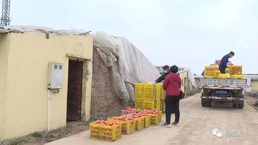 微信图片_20200211091730.jpg 微信图片_20200211091730.jpg