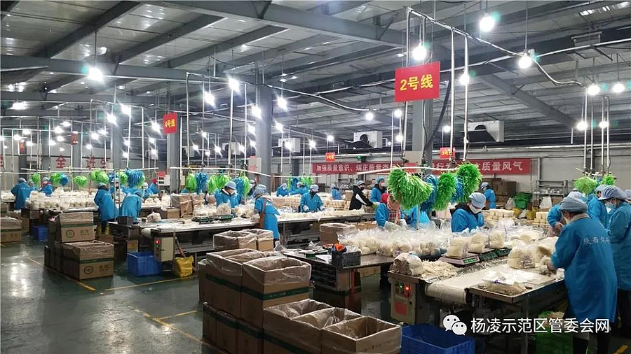 微信图片_20200213085517.jpg 微信图片_20200213085517.jpg