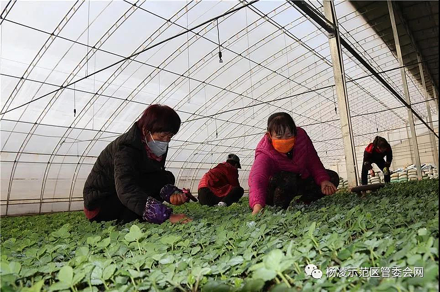 微信图片_20200213085514.jpg 微信图片_20200213085514.jpg