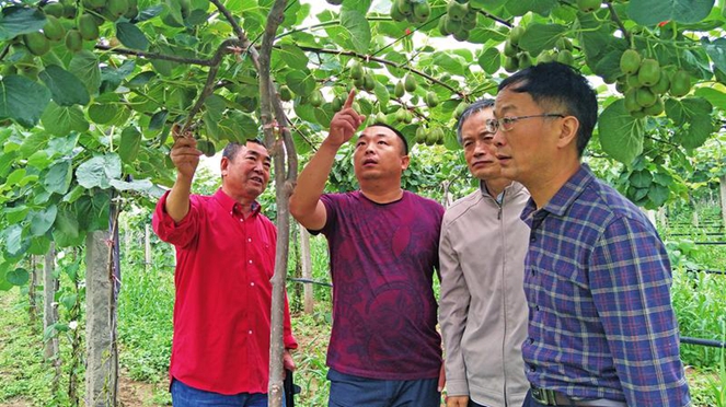 1527558002067066925.jpg 杨凌印记.jpg