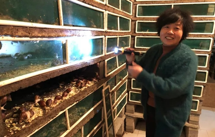 1513217112670082291.png QQ截图20171214100640.png