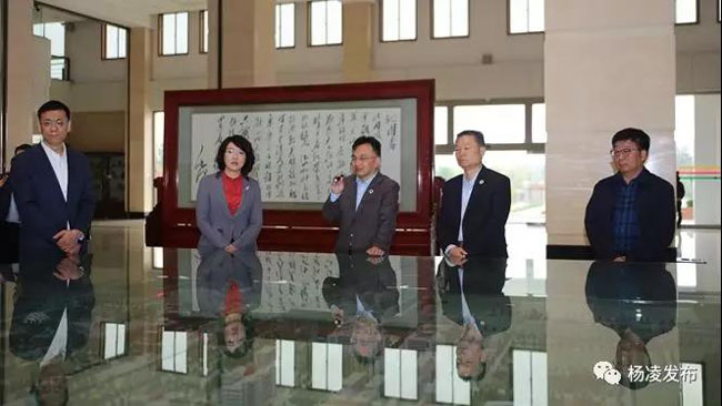 微信图片_20190129210718.jpg 微信图片_20190129210718.jpg