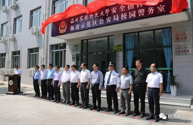 微信图片_20190129210726.jpg 微信图片_20190129210726.jpg