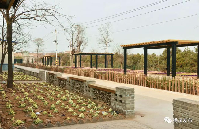 微信图片_20190129204932.jpg 微信图片_20190129204932.jpg