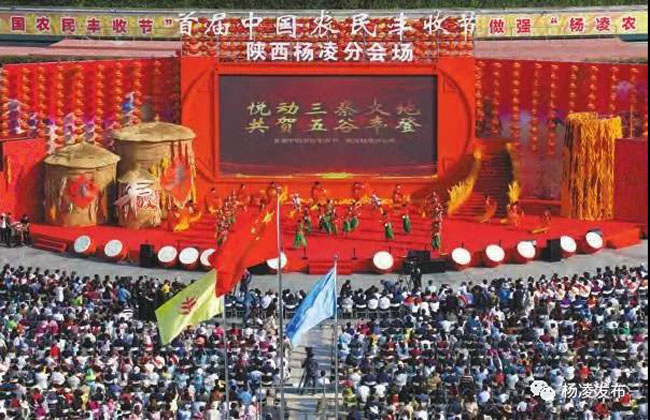 20190128205828.jpg 20190128205828.jpg