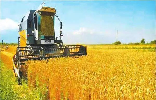 20190128205838.jpg 20190128205838.jpg