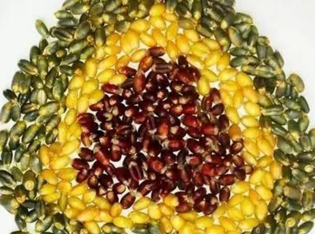 QQ截图20190112200227.jpg QQ截图20190112200227.jpg