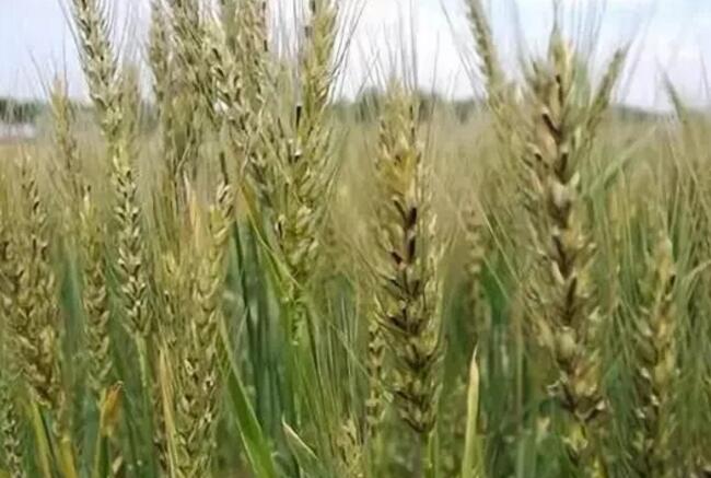 QQ截图20190112200118.jpg QQ截图20190112200118.jpg