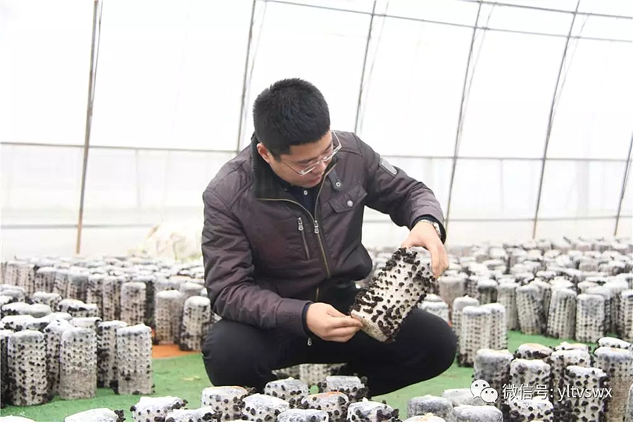 640.webp.jpg 640.webp.jpg