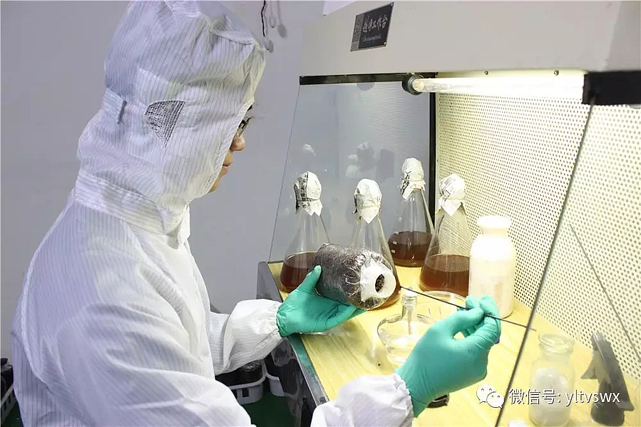 640.webp (2).jpg 640.webp (2).jpg