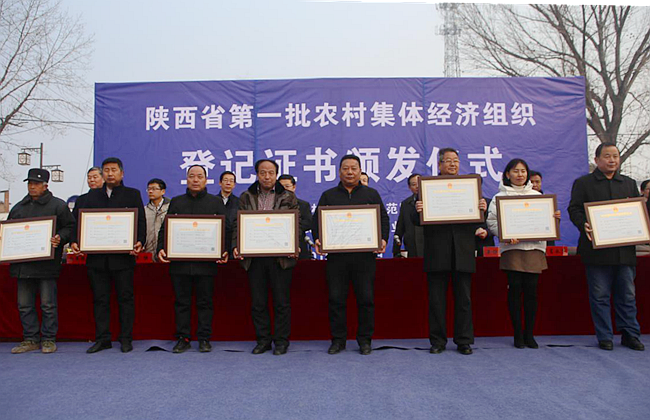 集体3.png 集体3.png