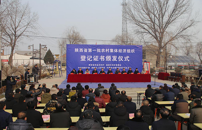 集体1.png 集体1.png