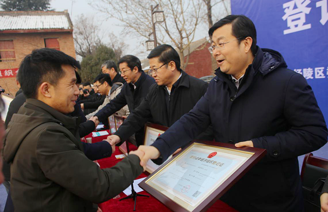 集体2.png 集体2.png