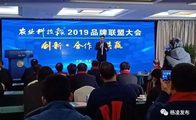 联盟1.jpg 联盟1.jpg