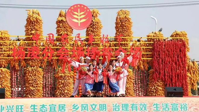 农民丰收.jpg 农民丰收.jpg