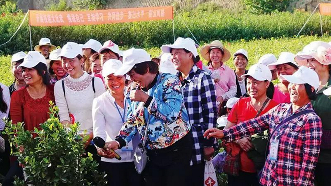 职业农民大比武.jpg 职业农民大比武.jpg