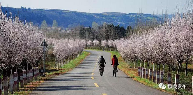 美景如画.jpg 美景如画.jpg