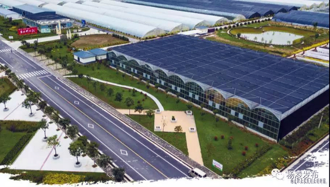 最后.jpg 最后.jpg