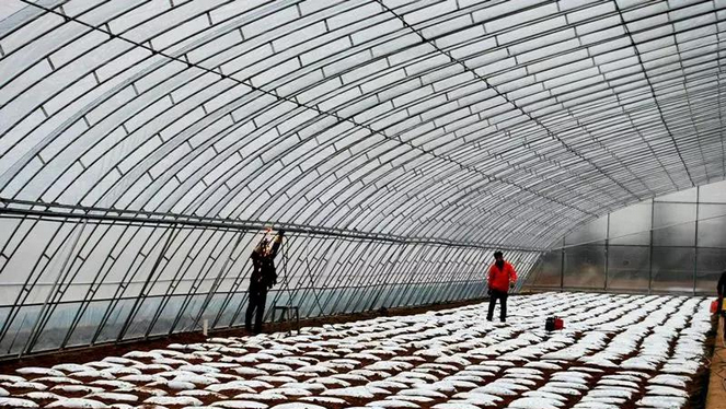 职业农民创新园.jpg 职业农民创新园.jpg