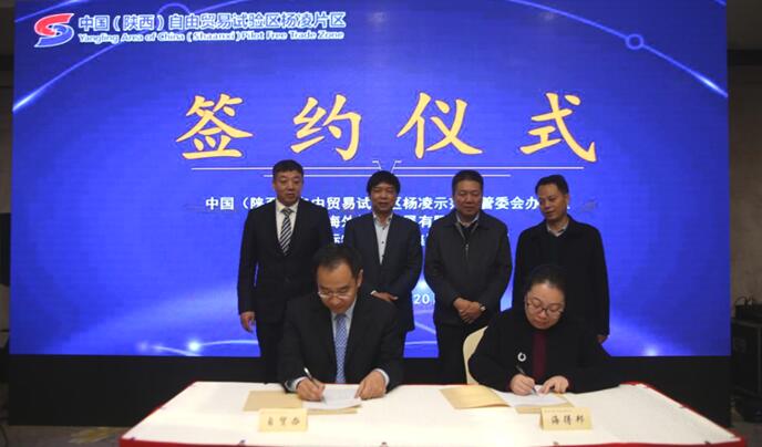 自贸区2.jpg 自贸区2.jpg