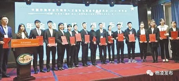 粒粒小麦.jpg 粒粒小麦.jpg